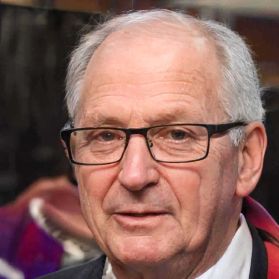 Henrik Lindström, Gründer von fovisent